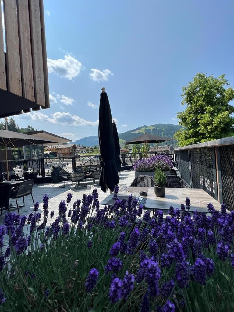 Almmonte Praeclarum Suites Design Hotel Wagrain Exterior foto